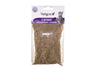 Vadigran Catnip Kattenkruid