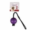 Speelgoed hond rubber bal met touw paars Ø5cm