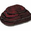 Kussen All Season bordeaux 70x55cm