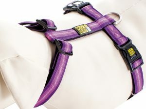 Harnas Booster Purple XS nek 24-39cm borst 32-40cm