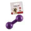 Speelgoed hond rubber halter met bel paars 12cm