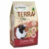 TERRA cavia 2,25 Kg