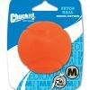 Chuckit Fetch Ball M 6 cm 1 Pack