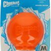 Chuckit HydroFreeze Ball Medium