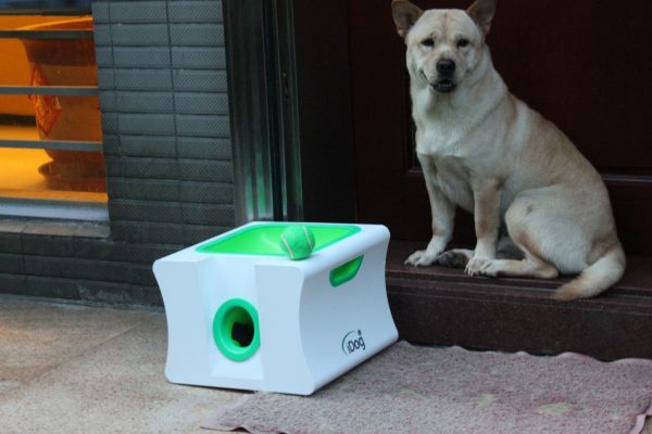 iDog Midi Automatic Ball Launcher