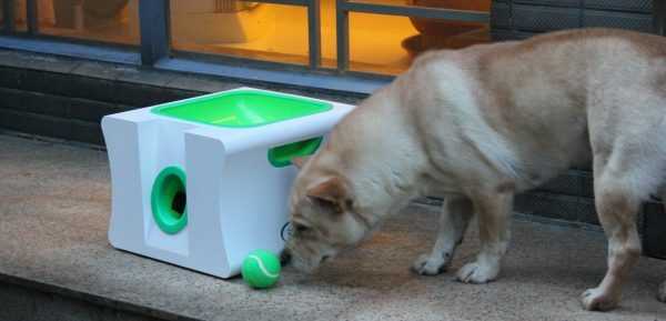 iDog Midi Automatic Ball Launcher