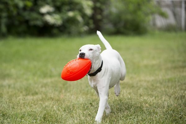 Jolly Football Oranje (Vanillegeur)