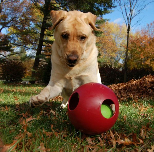 Jolly Teaser Ball 15 cm Rood