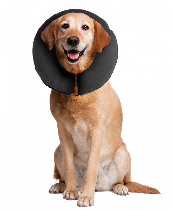 Zenpet ProCollar Honden- Kattenkraag XS