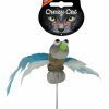 Crazy Cat Funny Bird vol met Madnip