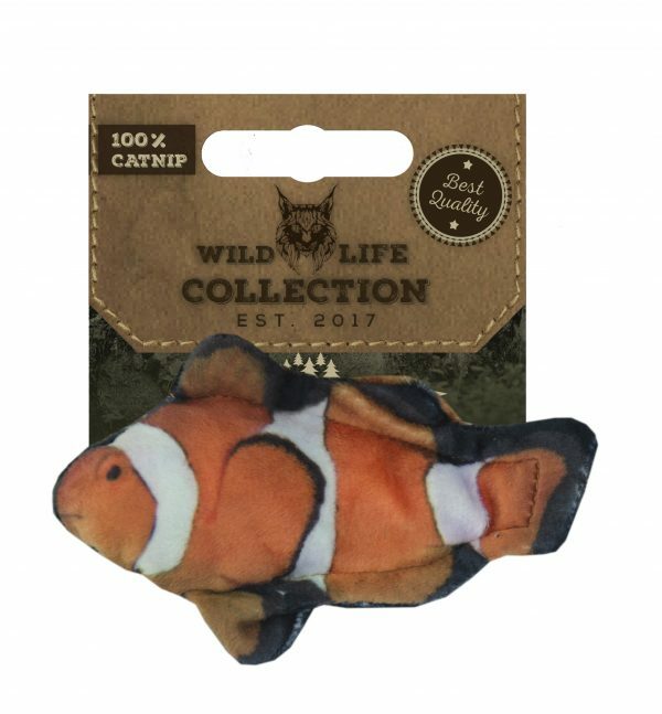 Wild Life Cat Clownfish (Clownvis)