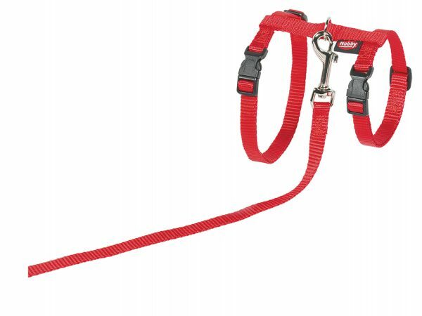 Harnas+Leiband Grote Kat rood 34/57cm+120cm