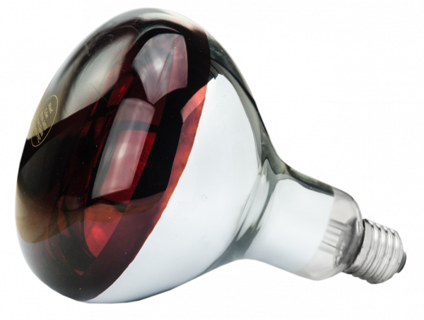 Lamp 150 W infrarood Hard Glas