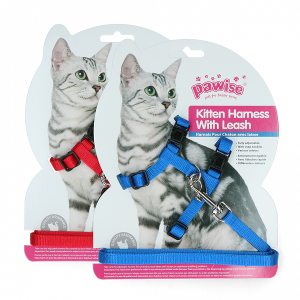 Pawise Kitten Harness Leash-Red/Blue