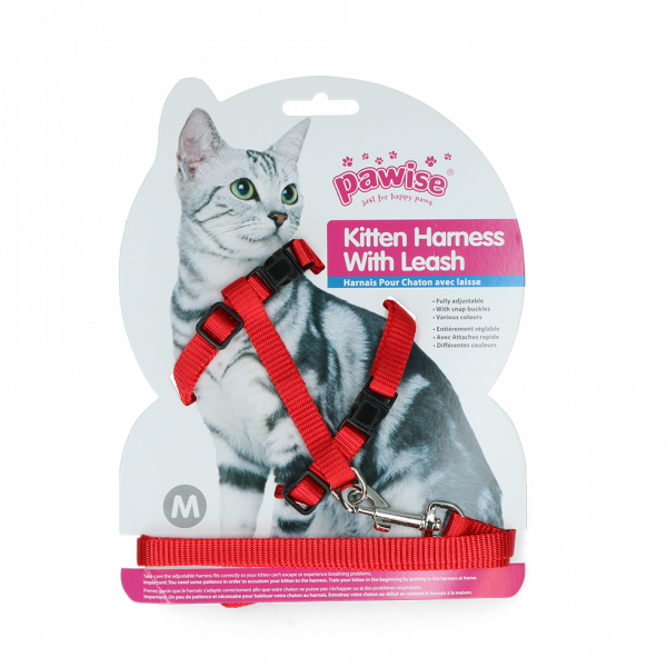 Pawise Kitten Harness Leash-Red/Blue