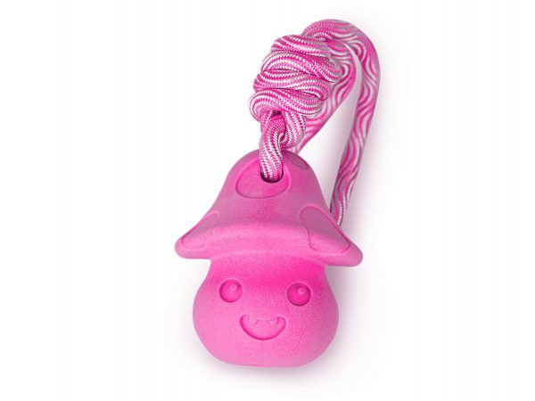 Speelgoed hond TPR fetch snack toy roze 28cm