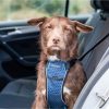 Harnas hond CarSafe Crash Tested S
