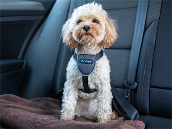 Harnas hond CarSafe Travel XS