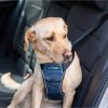 Harnas hond CarSafe Crash Tested L