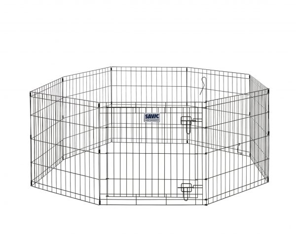 Park Dog Park2 zwart 61x91cm (8kanten)