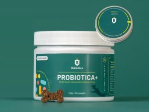 Probiotica maag en darm - Hond