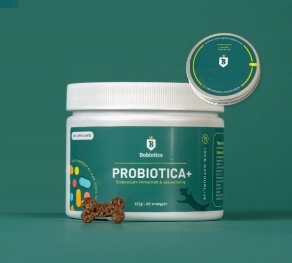 probiotica maag en darm bobiotics