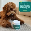 Probiotica maag en darm - Hond