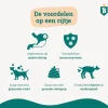 Probiotica maag en darm - Hond